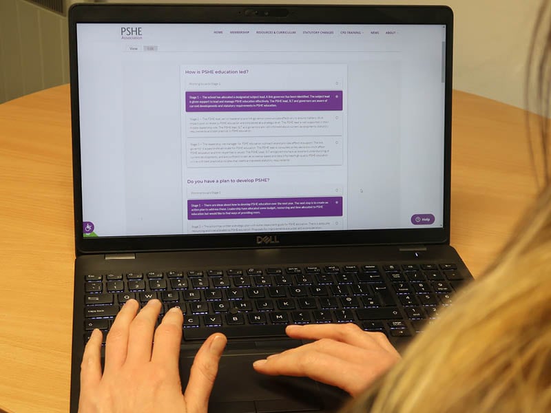 person using the subject review tool on laptop